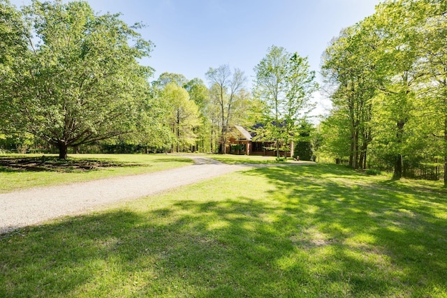 view of community featuring gravel driveway and a yard