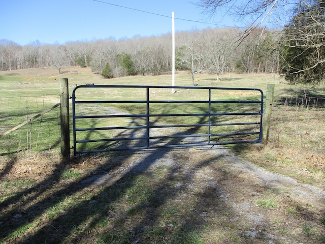 3800 Patton Hollow Rd, Watertown TN, 37184 land for sale