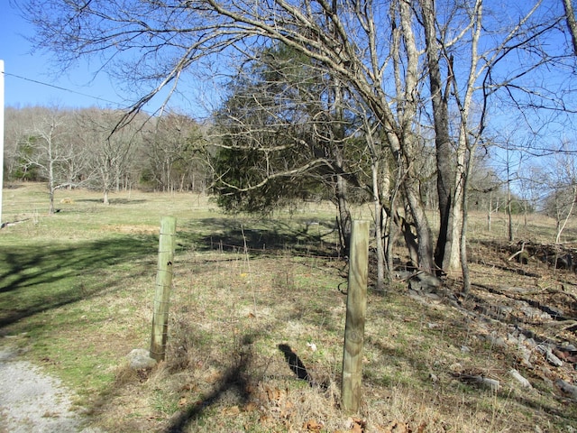 Listing photo 3 for 3800 Patton Hollow Rd, Watertown TN 37184