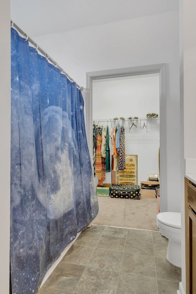 bathroom with toilet and vanity