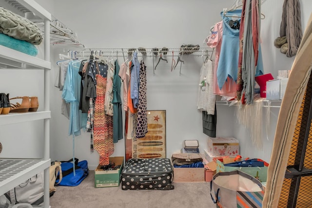 walk in closet featuring carpet flooring