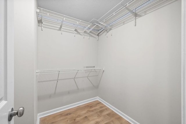 spacious closet featuring wood finished floors