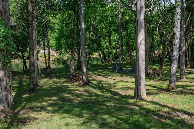 1007 Watercress Ct, Murfreesboro, TN 37129 - view of green lawn