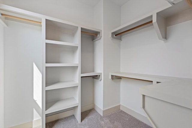 spacious closet with light carpet