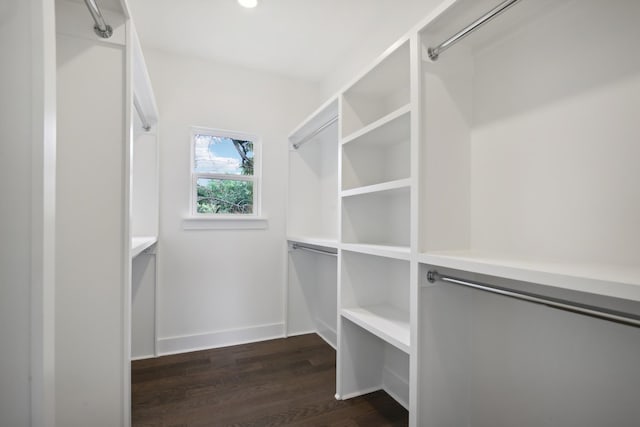 walk in closet featuring dark wood-type flooring