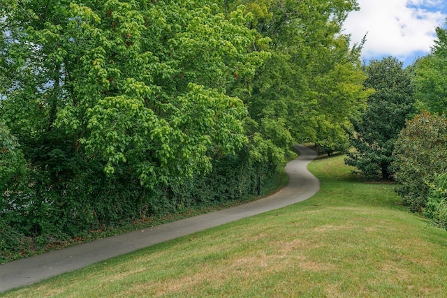 view of community with a lawn