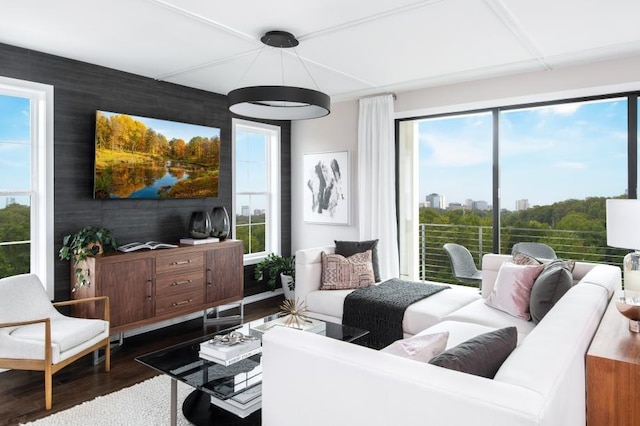 living area featuring dark wood-style floors