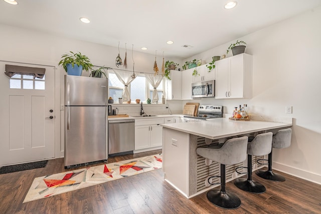 kitchen featuring stainless steel appliances, a wealth of natural light, a sink, and dark wood-style floors