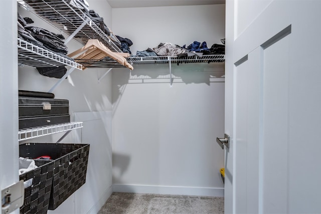 spacious closet with light colored carpet