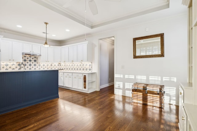 interior space with light countertops, dark wood-type flooring, a raised ceiling, and decorative backsplash