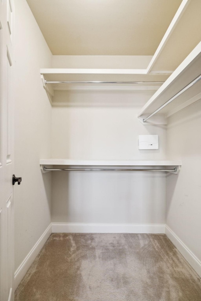 walk in closet featuring carpet floors