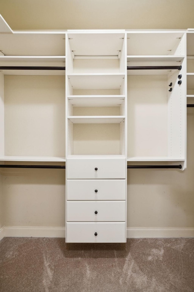 spacious closet with carpet floors