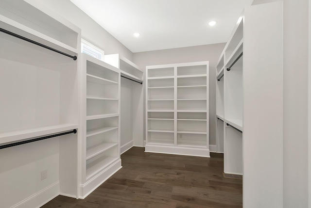 walk in closet featuring dark wood-style floors and a barn door