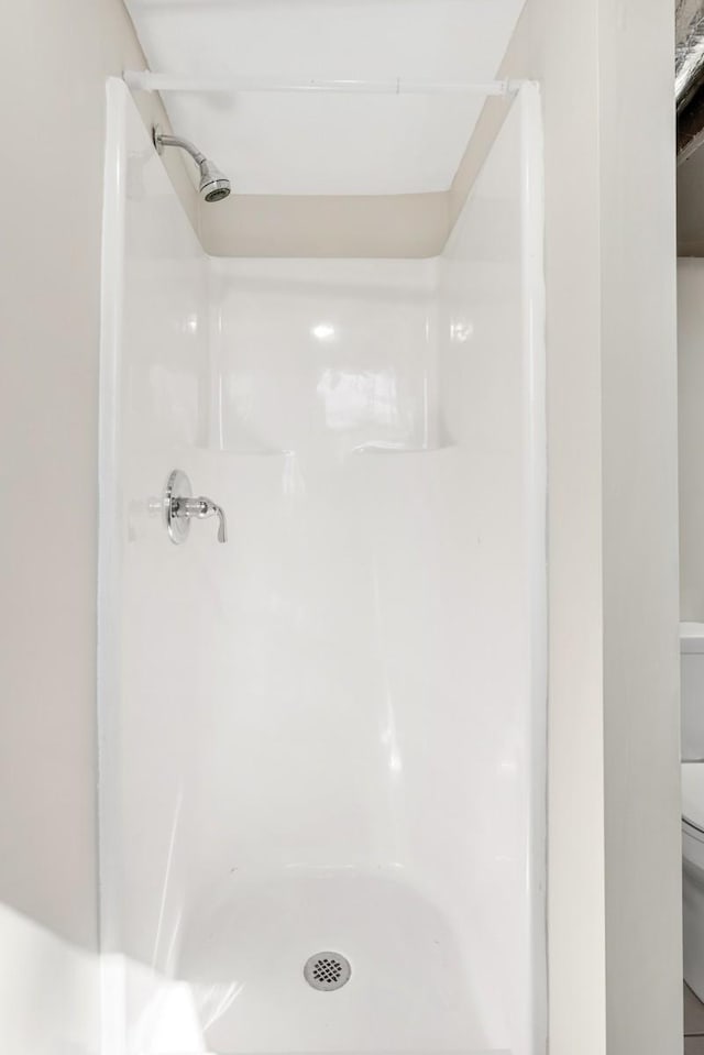 bathroom featuring a stall shower and toilet