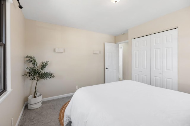 bedroom featuring a closet, carpet, and baseboards