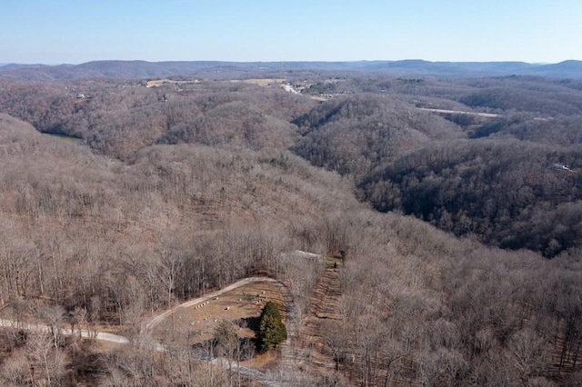224 Golden Ln, Celina, TN 38551 - drone / aerial view featuring a mountain view
