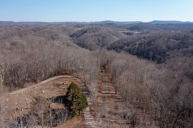 224 Golden Ln, Celina, TN 38551 - bird's eye view featuring a mountain view and a view of trees
