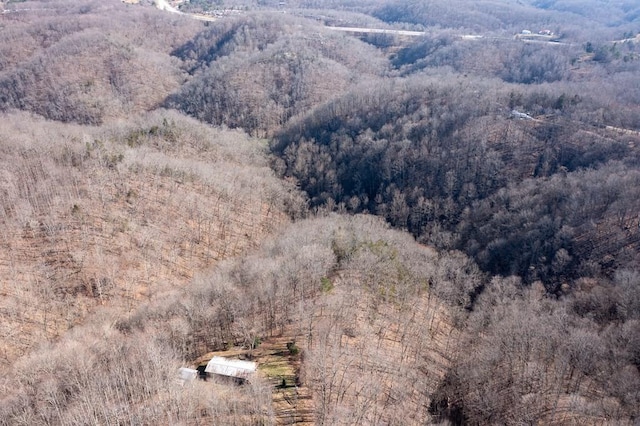224 Golden Ln, Celina, TN 38551 - aerial view