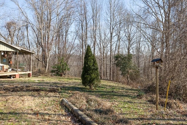224 Golden Ln, Celina, TN 38551 - view of yard