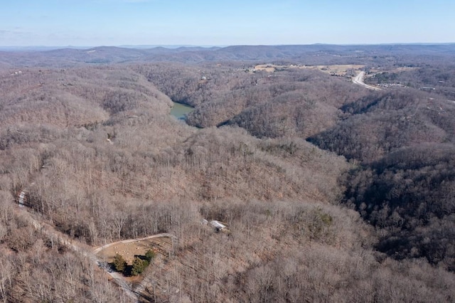 224 Golden Ln, Celina, TN 38551 - drone / aerial view featuring a mountain view