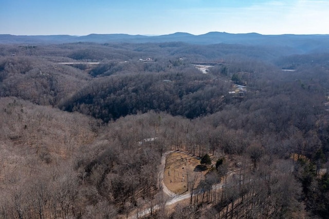 224 Golden Ln, Celina, TN 38551 - birds eye view of property with a mountain view
