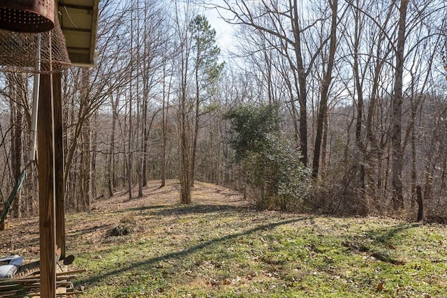 224 Golden Ln, Celina, TN 38551 - view of nature