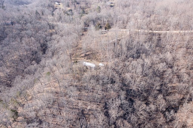 224 Golden Ln, Celina, TN 38551 - drone / aerial view