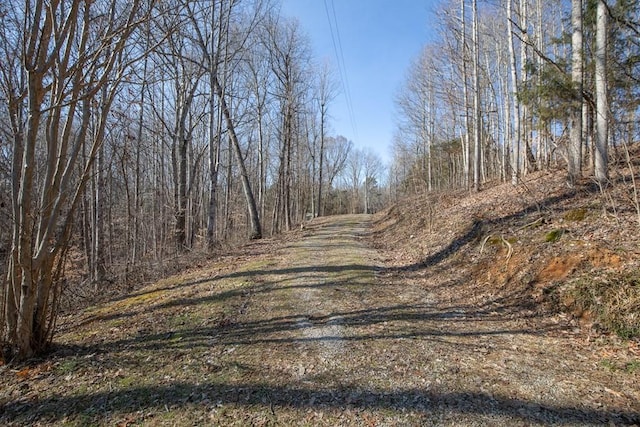 224 Golden Ln, Celina, TN 38551 - view of road