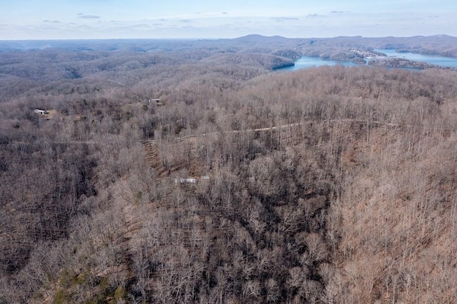 224 Golden Ln, Celina, TN 38551 - bird's eye view featuring a forest view and a water and mountain view