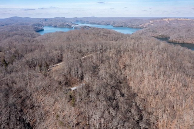 224 Golden Ln, Celina, TN 38551 - birds eye view of property with a water and mountain view