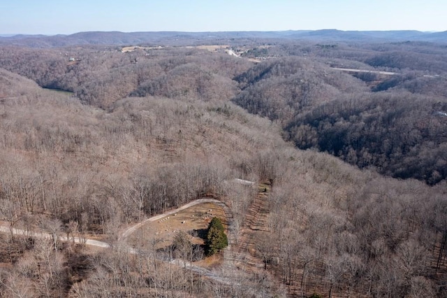 224 Golden Ln, Celina, TN 38551 - bird's eye view featuring a mountain view