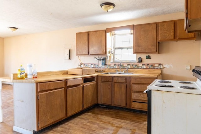 224 Golden Ln, Celina, TN 38551 - kitchen featuring electric range oven, light countertops, a sink, and brown cabinets
