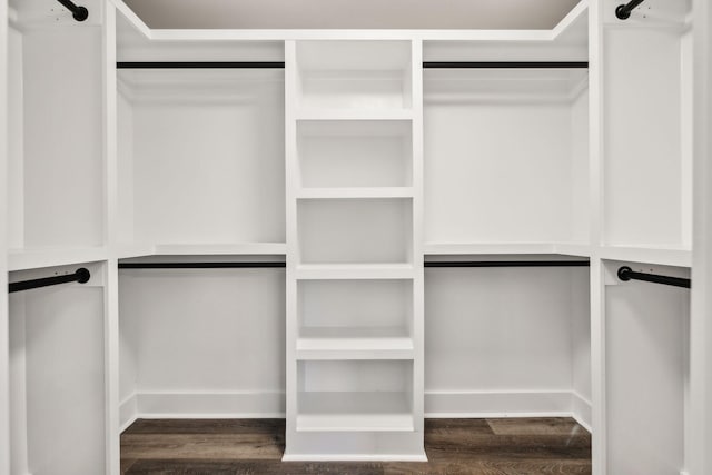 walk in closet with a barn door and wood finished floors