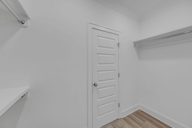 spacious closet featuring light wood-type flooring