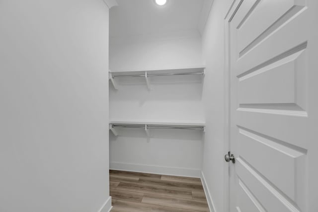 spacious closet featuring light wood-type flooring