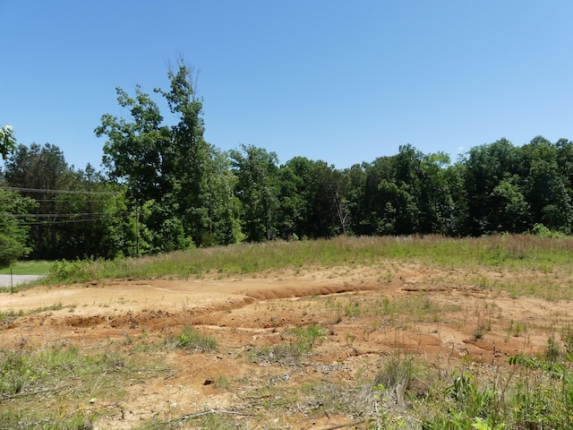 18 Eagles Crest Ln, Parsons, TN 38363