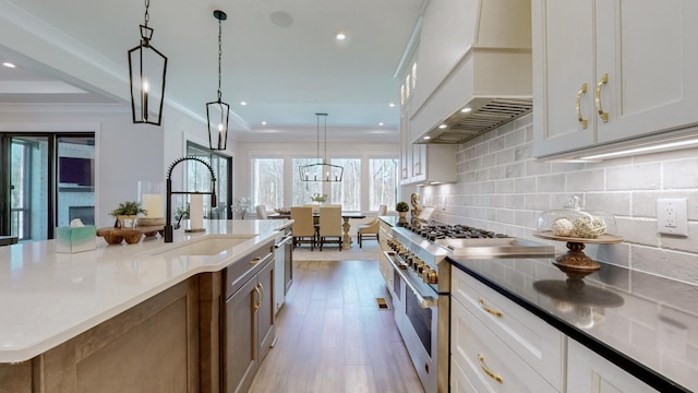 kitchen featuring stainless steel appliances, a sink, light wood-type flooring, backsplash, and custom exhaust hood