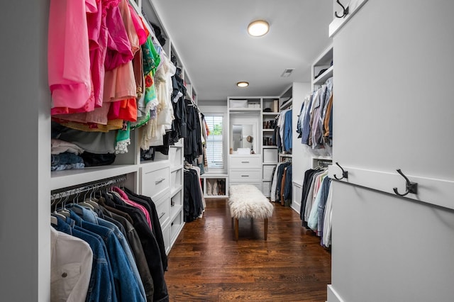 spacious closet with dark wood finished floors