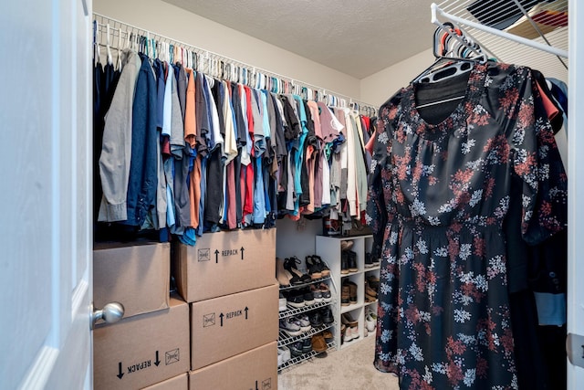 walk in closet with carpet