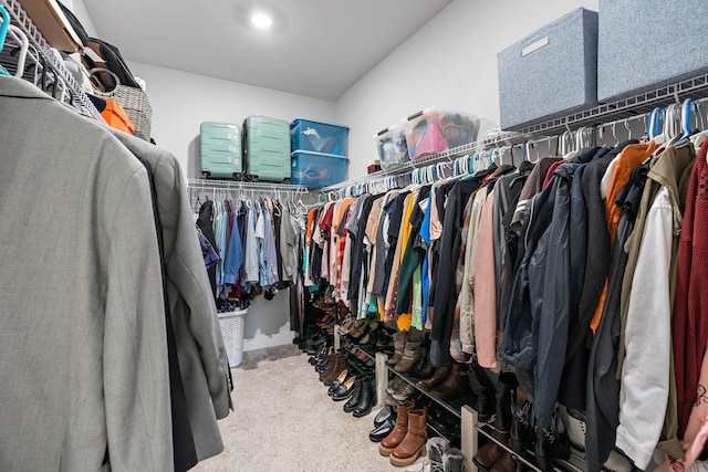 spacious closet featuring carpet flooring