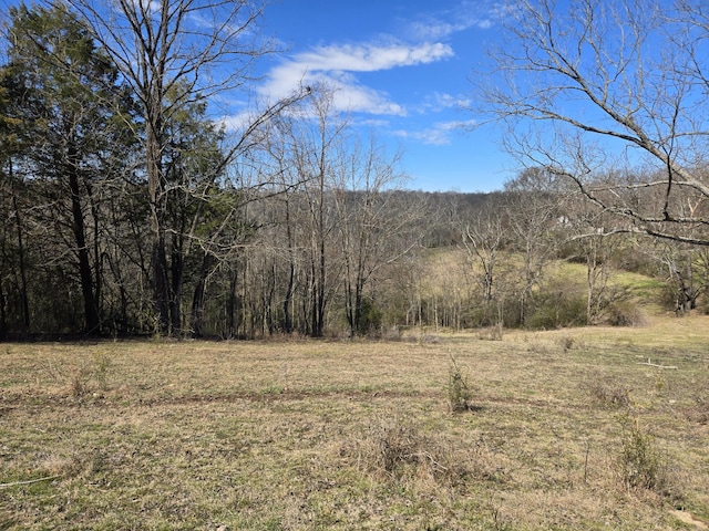 Listing photo 3 for 0 Ella W Cir E, Lynnville TN 38472