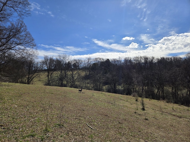 0 Ella W Cir E, Lynnville TN, 38472 land for sale