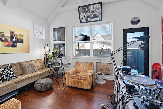 living room featuring high vaulted ceiling and wood finished floors