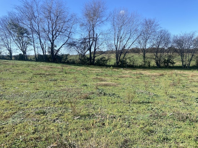 Listing photo 3 for 0 Shelbyville Rd, Morrison TN 37357