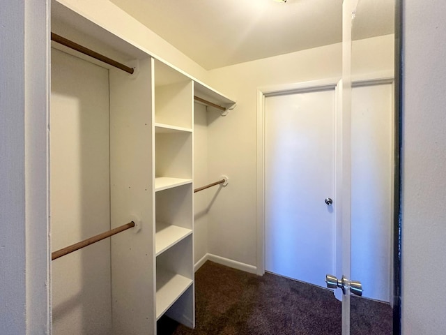 walk in closet featuring dark carpet