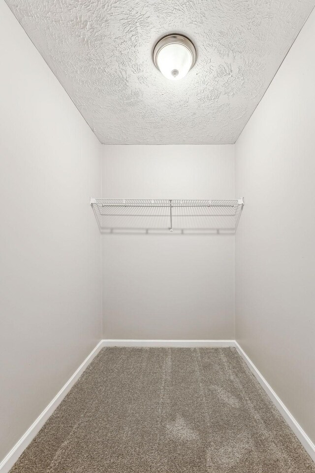 walk in closet with carpet floors