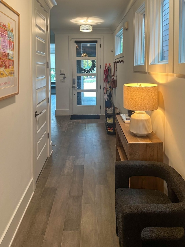 doorway with baseboards and dark wood finished floors