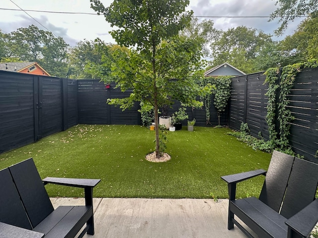 view of yard with a fenced backyard