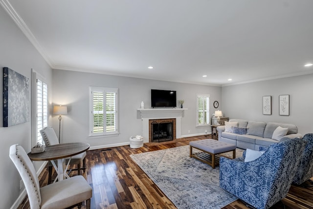 living area featuring dark wood-style floors, plenty of natural light, and baseboards