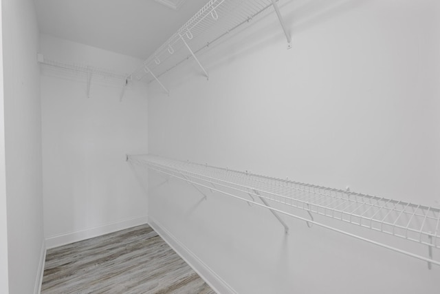 spacious closet featuring wood finished floors